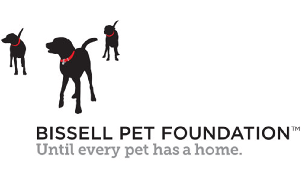 featured-image-bissell-pet-foundation_1170x700.png