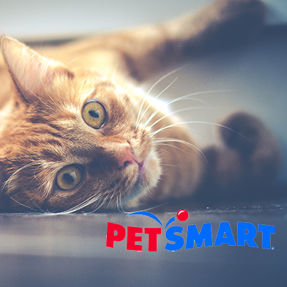 Muskegon Adoption Event