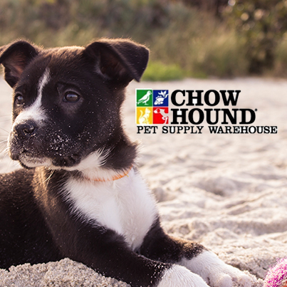 Grand Haven Adoption Event