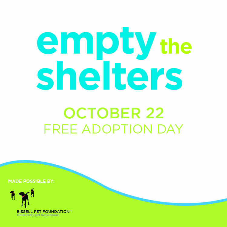 BISSELL EMPTY THE SHELTERS